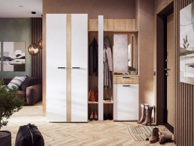 Модульная прихожая Санса (дуб сонома/белый) в Боготоле - bogotol.mebel-nsk.ru | фото